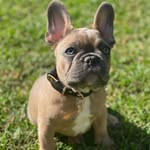 HERBERT LLOYD - @hebert__lloyd - Instagram