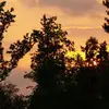 Loyd Hickman - @user133819301 - TikTok