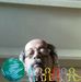 Lloyd Hoffman Jr. - Facebook