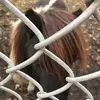 chadlloydholt - @lucy_xmasroom - TikTok