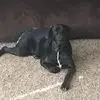 lloydhuggins - @lloyd.huggins - TikTok