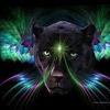 Humphrey Lloyd - @humphrey.lloyd - TikTok