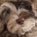 Lloyd Keith - @lloyd.keith.7771 - Instagram