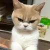 lloydy_lloyd_king - @lloydy_lloyd_king - TikTok