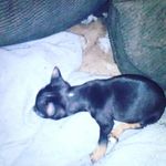 lloyd kitchens - @lloydkitchens - Instagram