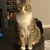 lloyd - @lloyd.add - TikTok