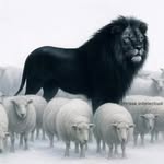 Lloyd Fishlake - @lloydfishlake - Instagram