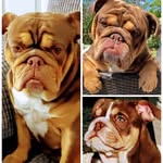 Lloyd lake - @chocobullz - Instagram