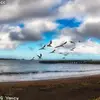 lloydlakin109 - @lloydlakin109 - TikTok