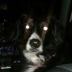 Lloyd lane - @nubby_57 - Instagram