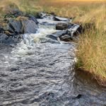 Lloyd Langford - @lloyd.lang3865 - Instagram