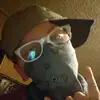 lloydlanham00 - @lloydlanham00 - TikTok