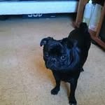 Lloyd Larson - @lloyd_larson - Instagram