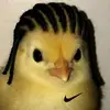 loydd - @lloydlauronn - TikTok