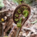 Lloyd Lin - @lloydlin74 - Instagram