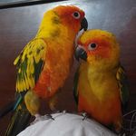 My Pets and Nature - @lloyd.lincy - Instagram