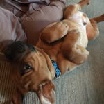 Little_Lloyd - @little_cute_lloyd - Instagram