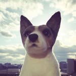 Little Lloyd Braun & Friends - @littlelloydbraun - Instagram