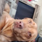Little-Lloyd Duff - Facebook