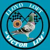 Lloyd loft - @mr.unknown..69 - TikTok
