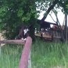 Lloyd Lohr - @lloydlohr - TikTok
