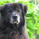 Lloyd Long - @truevinegardens - Instagram