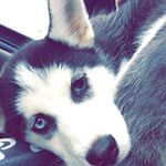Luna Lloyd - @luna_lloyd - Instagram
