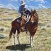 Daniel Lloyd-Massey - Facebook
