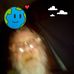 Lloyd Moses - Facebook