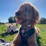 Spencer Lloyd - @spencer_lloyd_moses - Instagram
