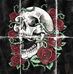 Lloyd Mosher - Facebook