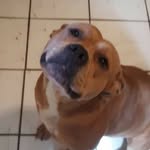 Lloyd Mosher - @lloyd.mosher.925 - Instagram