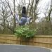 Lloyd Mullins - Facebook