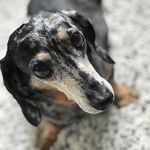 Lloyd Murray - @lloydmurray68 - Instagram