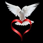 Lloyd Nesbit - Facebook