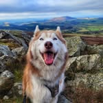 LLOYD MARVEL IN THE NORTH - @stark.thesibe - Instagram