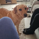 Ricky Lloyd-Northrop - @lloydnorthrop - Instagram