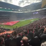 Lloydy - @lloydobrien.1 - Instagram