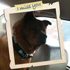 Lloyd Olson Jr - @lloydolsonjr - TikTok