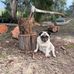 Lloyd Osborne - Facebook