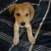Lloyd Pace - Facebook
