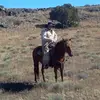 Robert Lloyd Parnell - @robertlloydparnell - TikTok