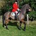 Lloyd-Snr Parr - Facebook