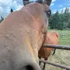 paxton lloyd - @paxton.lloyd6 - TikTok
