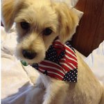Lloyd Peters - @rayupperhuman - Instagram
