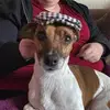 Janet Phipps Lloyd - @janetphippslloyd - TikTok