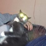 Lloyd Phipps - Facebook