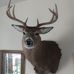 Lloyd Prescott - Facebook