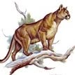 Lawson Lloyd Provost - Facebook