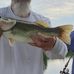 Lloyd Puckett - Facebook